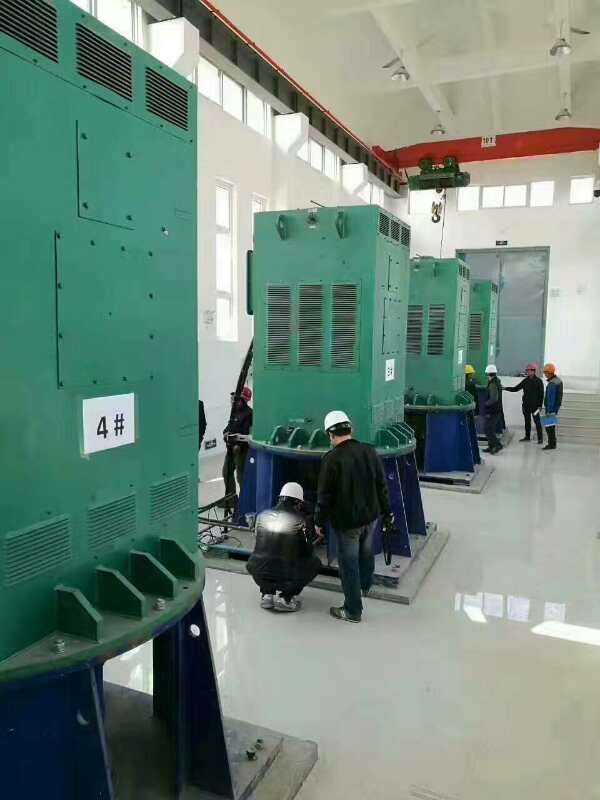 江门某污水处理厂使用我厂的立式高压电机安装现场